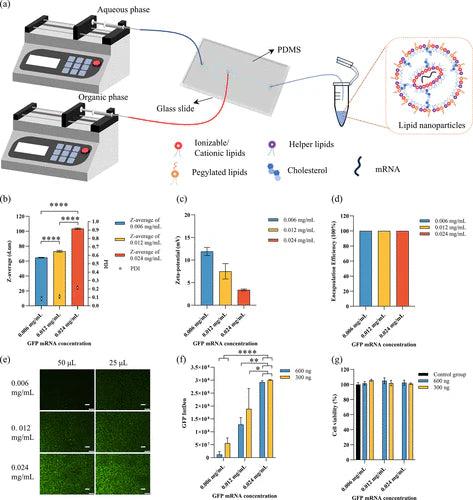 Microfluidic Design Optimization Using Tilted Baffles for Efficient mRNA-LNP Formulation